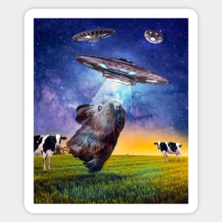 Guinea Pig UFO Abduction Sticker